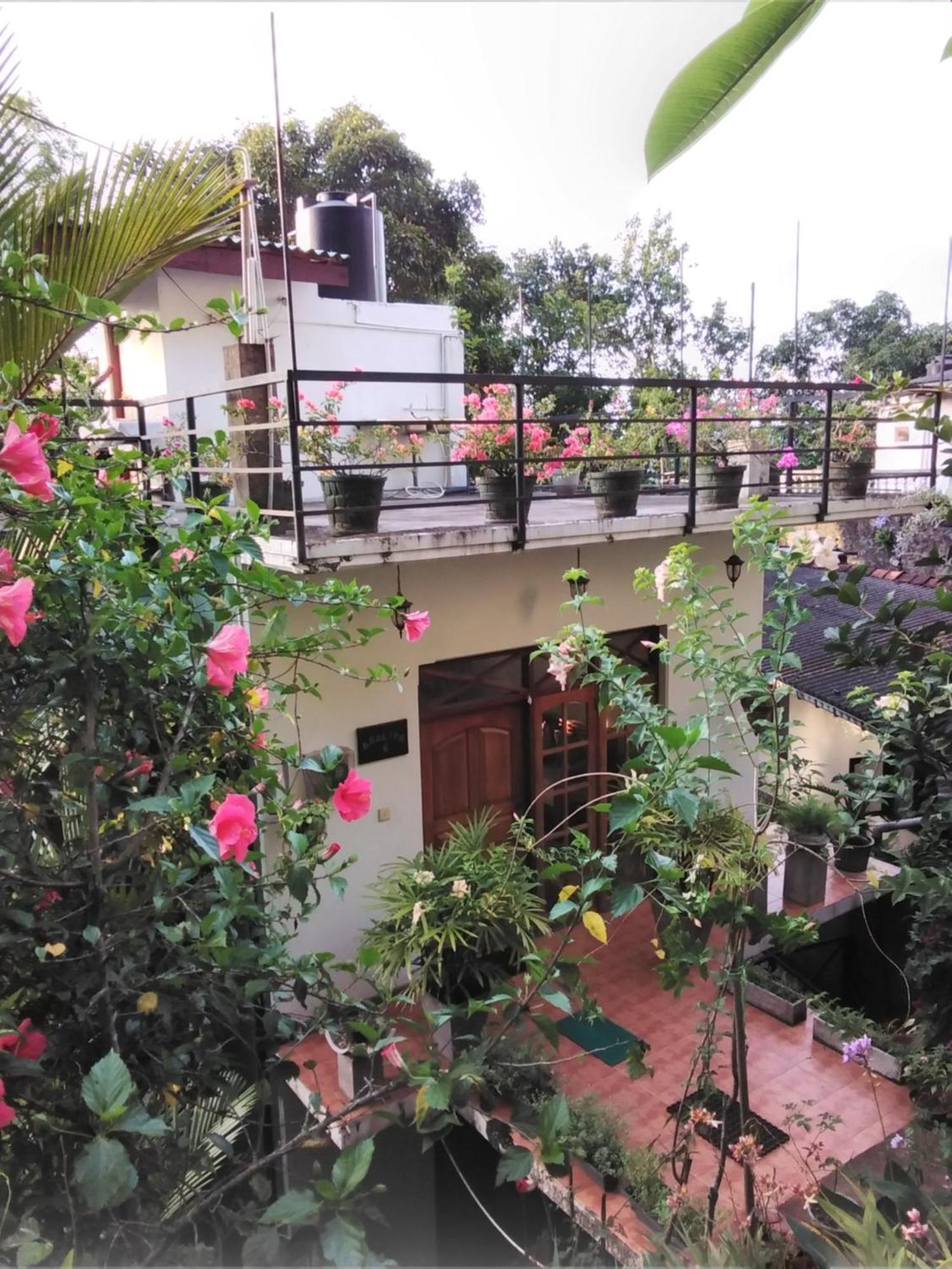 Araliya Home Stay Kandy Exterior foto