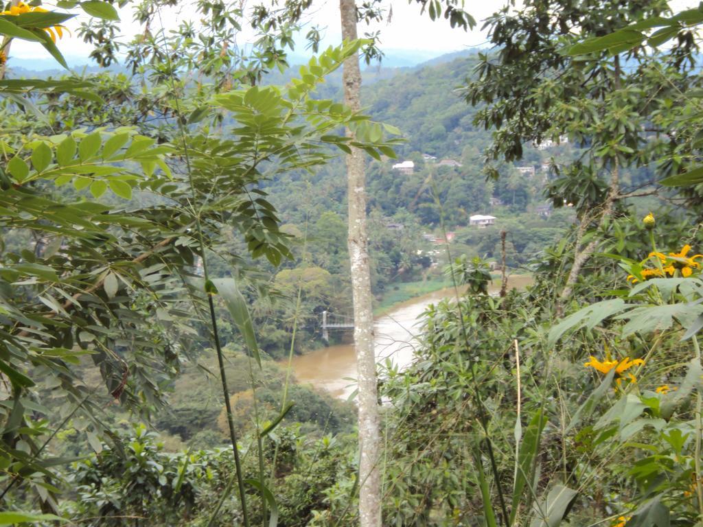 Araliya Home Stay Kandy Exterior foto