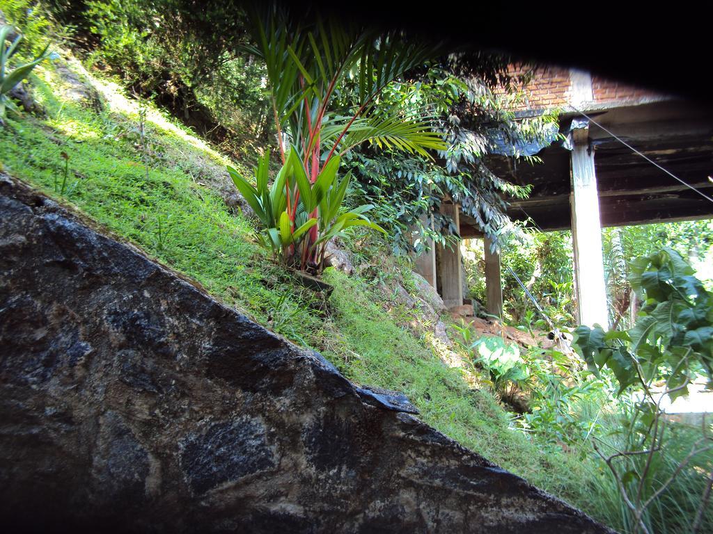 Araliya Home Stay Kandy Exterior foto