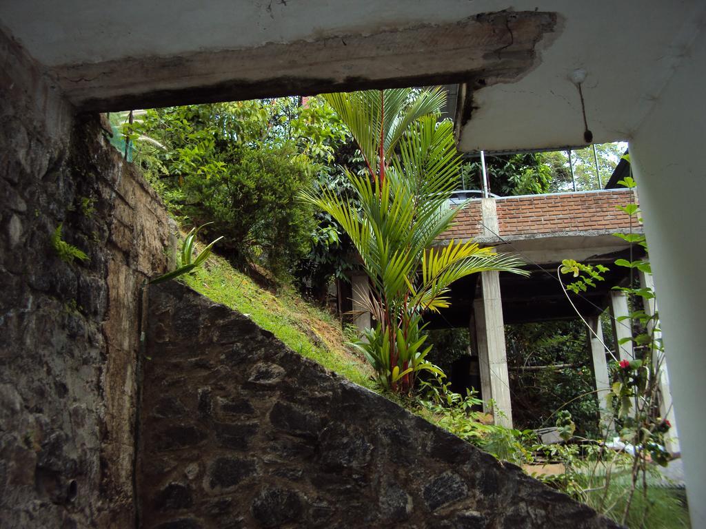 Araliya Home Stay Kandy Exterior foto