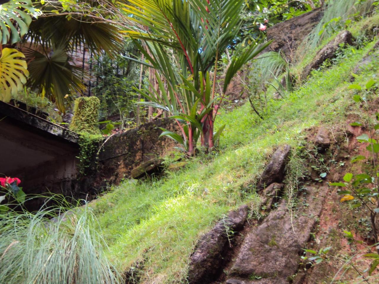 Araliya Home Stay Kandy Exterior foto